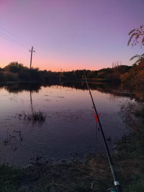 Muzsla-tó - Galéria kép
