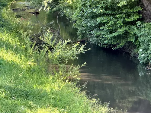 Bán patak - Galéria kép