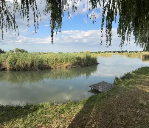 Nádaspart Horgásztó és Szabadidőközpont - Galéria kép