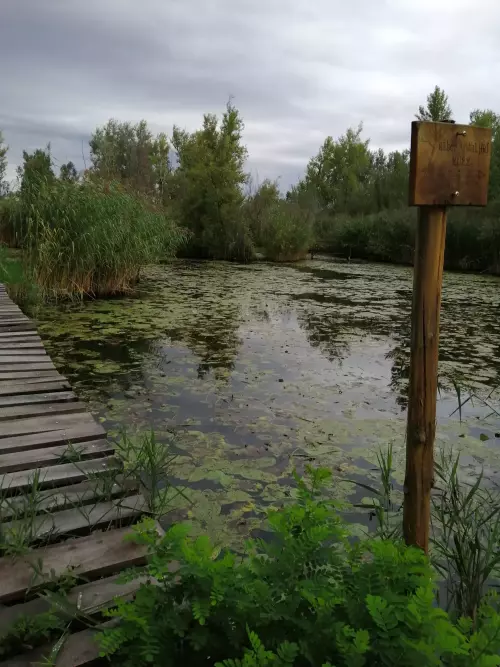 Kék tó - Galéria kép