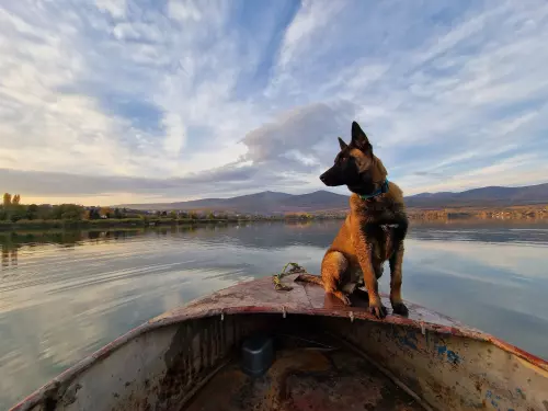 Markazi-víztározó - Galéria kép