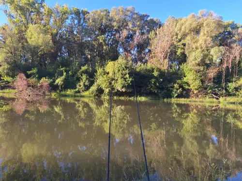 Gyiger-holtág horgászhely képe – Kunszentmárton