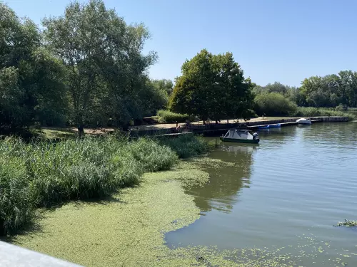 Horgászhely: Tiszafüred horgászhelyek