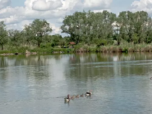 Horgászhely: Aranyponty horgászcentrum