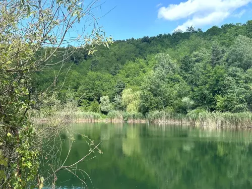 Ormosbányai bányató - Galéria kép