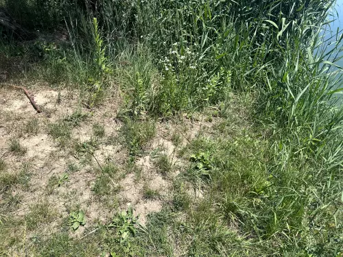 Emődi kavicsbányatavak - Galéria kép