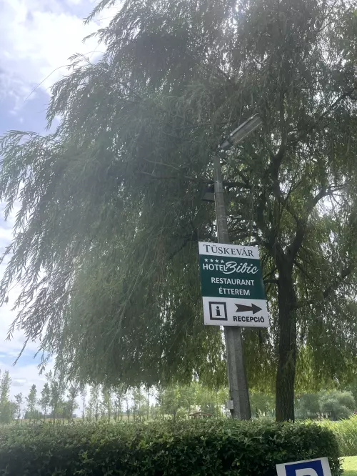 Tüskevár horgásztó - Galéria kép