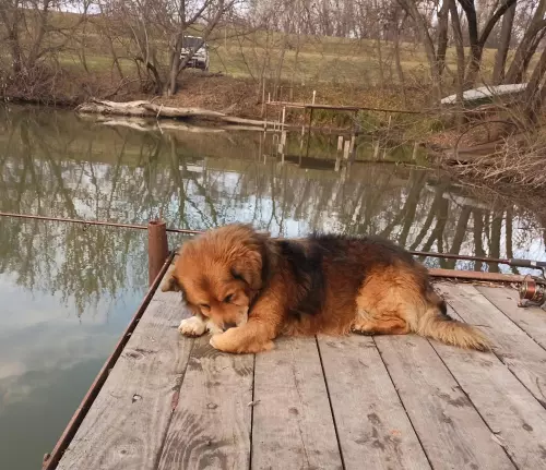 Torzsás-zugi holtág horgászhely képe – Gyomaendrőd