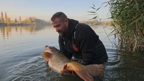 Don Carp Lake - Galéria kép