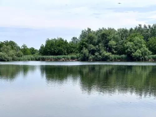 Tiszaladányi Holt-Tisza - Galéria kép