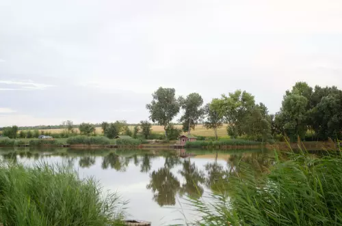 Kislóki Horgásztó - Galéria kép