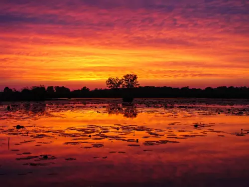 Lipóti Holt-Duna - Galéria kép