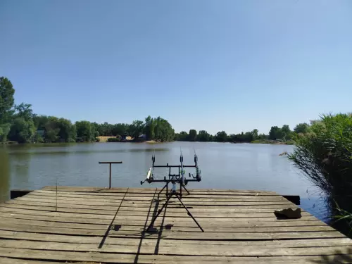 Fárasztó horgásztó - Galéria kép