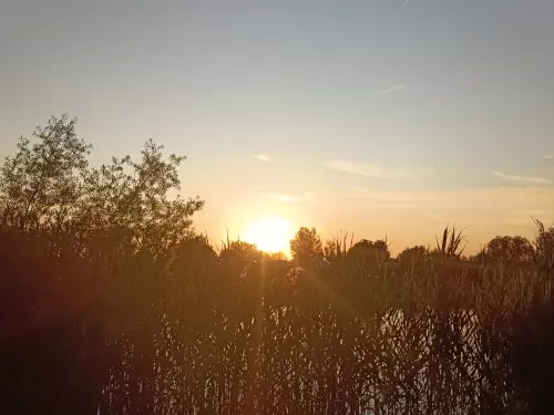 Borsosgyőri-tó - Galéria kép