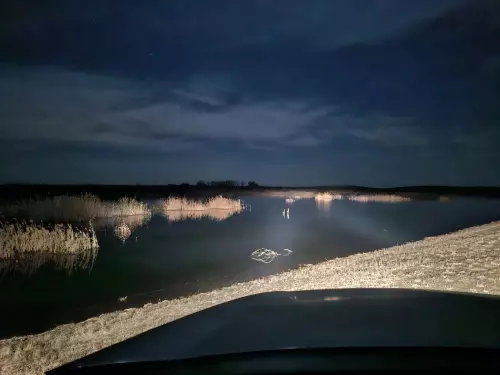 Bácsborsódi víztározó - Galéria kép