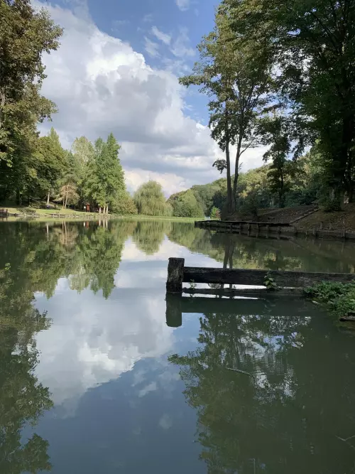 Horgászhely: Gyertyános-tó