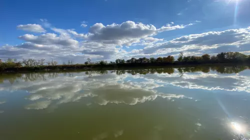 Gyálai Holt-Tisza - Galéria kép