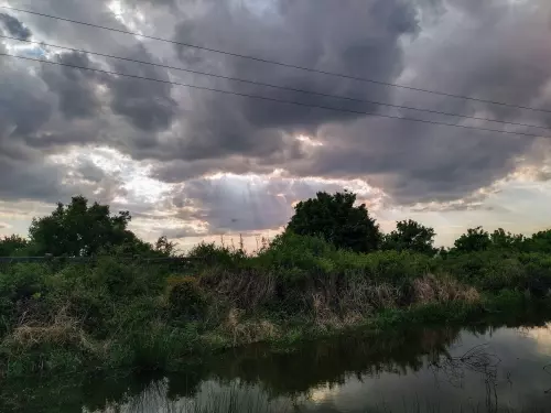 Muzsla-tó - Galéria kép