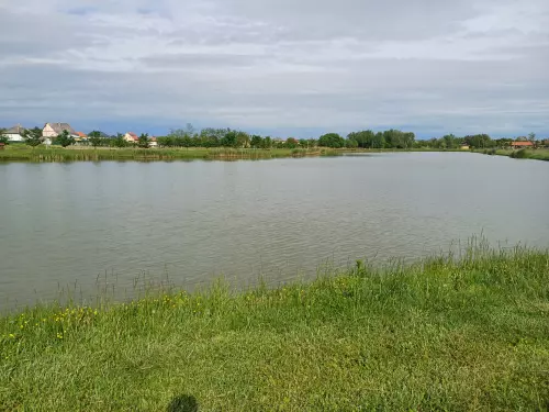 Horgászhely: Péter-tó