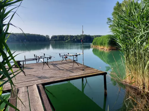 Fenyves-tó horgászhely képe – Várpalota