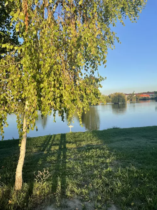 Palocsa horgásztó - Galéria kép