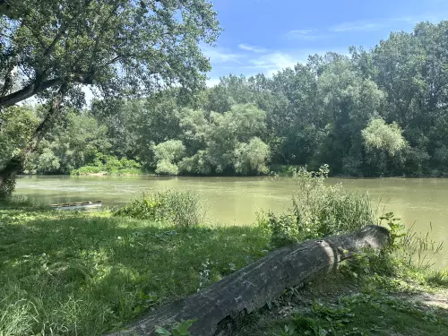 Bodrog folyó - Galéria kép