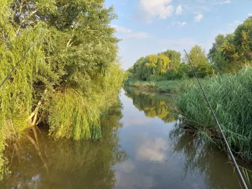Horgászhely: Fűzvölgyi-csatorna