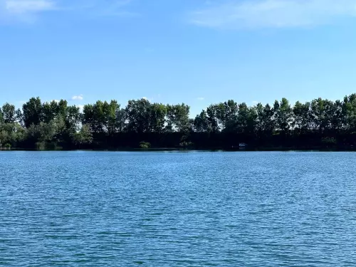 Csécsi-tó - Galéria kép