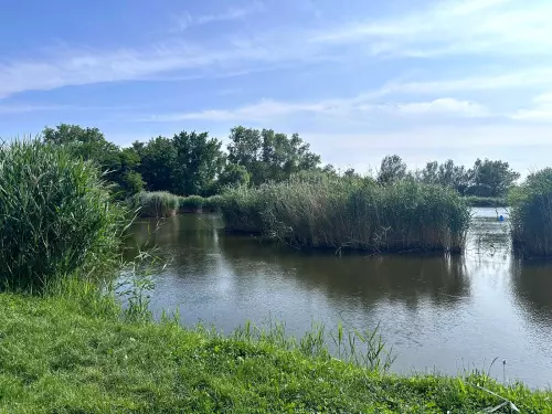 Homokos-tó - Galéria kép