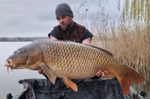 Don Carp Lake - Galéria kép