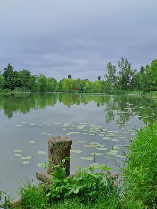 Szombathelyi Csónakázó- és Horgásztó - Galéria kép