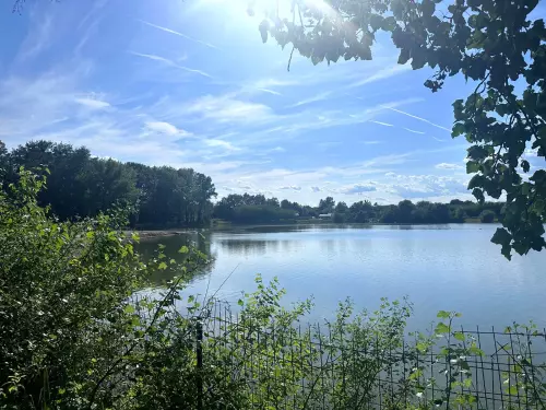 Családi Horgásztó (Nagycsécs Belsőségi tó) - Galéria kép