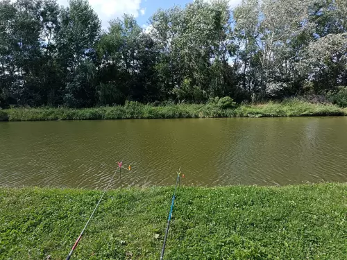 Horgászhely: Vadkert tápcsatorna horgásztó
