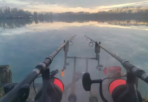 Carp Centrum - Galéria kép