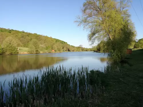 Mecsekpölöskei horgásztó - Galéria kép