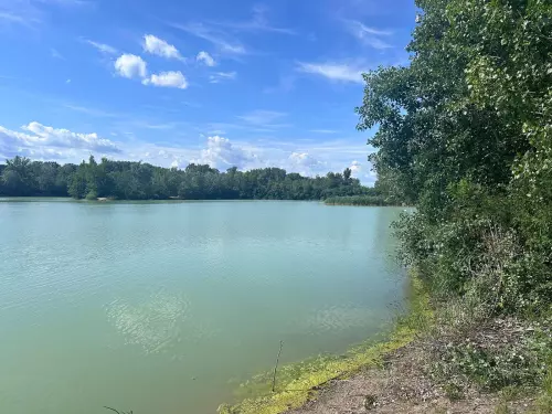 Tolnai-tó - Galéria kép