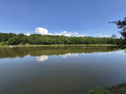 Györke-völgyi Horgásztó - Galéria kép