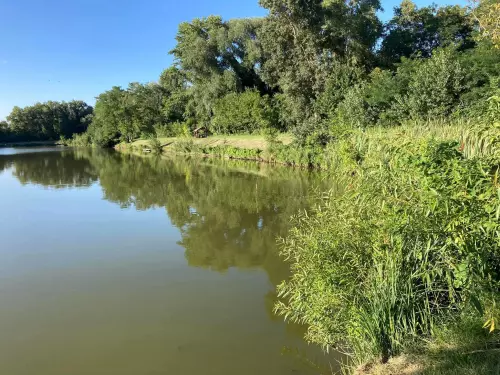 Horgászhely: Zöldmalmi tavak