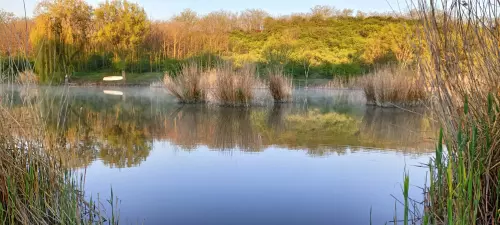 Kutasi horgásztó - Galéria kép