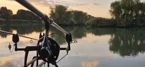 Fisharéna Horgásztó - Galéria kép