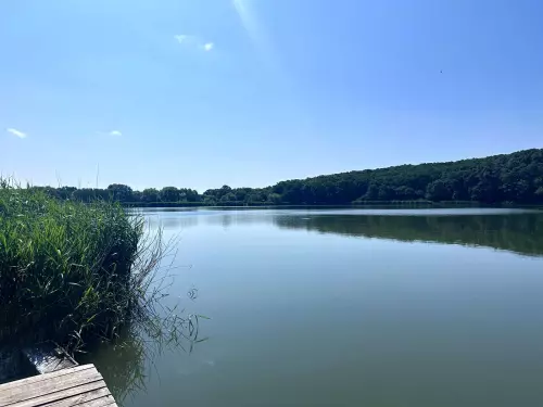 Harsányi horgásztó - Galéria kép