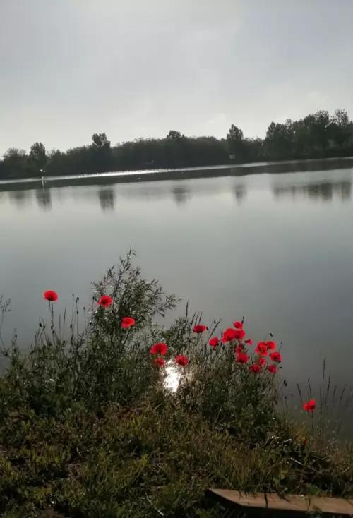 Horgászhely: Munkácsy horgásztó