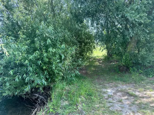 Onga kavicsbánya tavak - Galéria kép