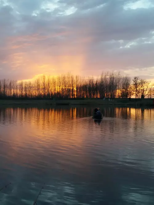 Bácsbokodi Horgásztavak - Galéria kép