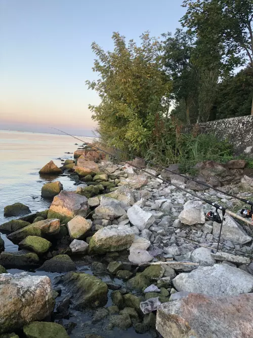 Balaton, tihanyi partszakasz - Galéria kép