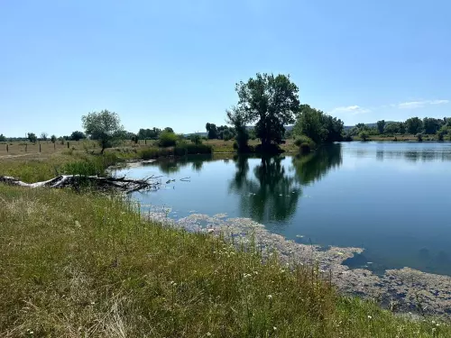 Szelesaknai horgásztavak - Galéria kép