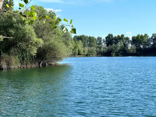 Csécsi-tó - Galéria kép