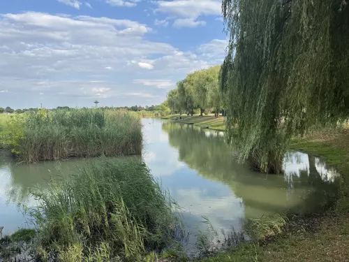 Nádaspart Horgásztó és Szabadidőközpont - Galéria kép