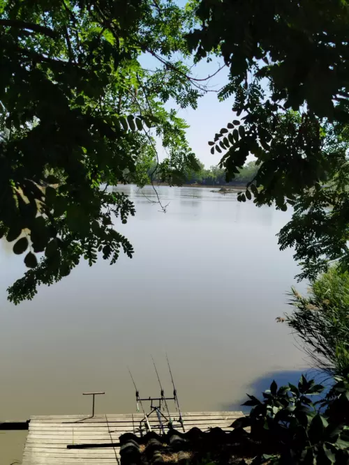 Horgászhely: Fárasztó horgásztó