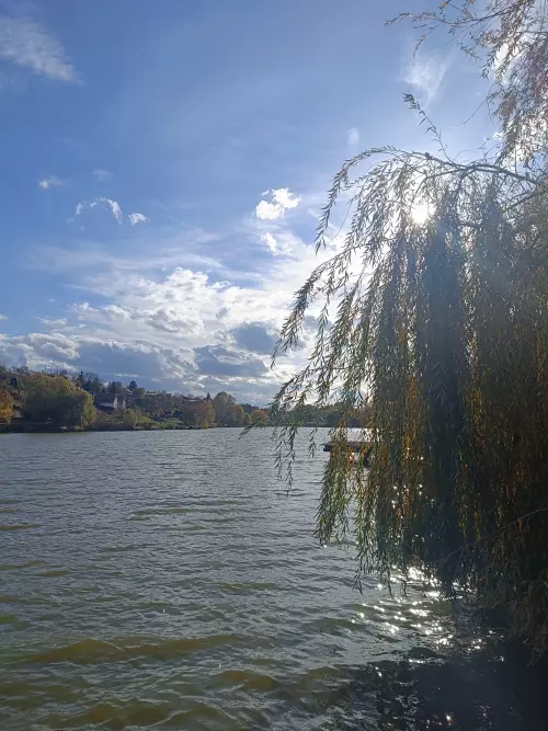 Szecska tó - Galéria kép